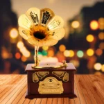 صندوق موسيقى جرامافون كلاسيكي 2 في 1 مع درج تخزين – ديكور Vintage ذهبي وخشبي 21.5 سم - الصورة 3